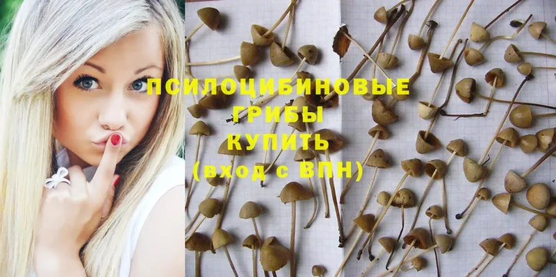 Галлюциногенные грибы Magic Shrooms  ОМГ ОМГ как зайти  Любим 